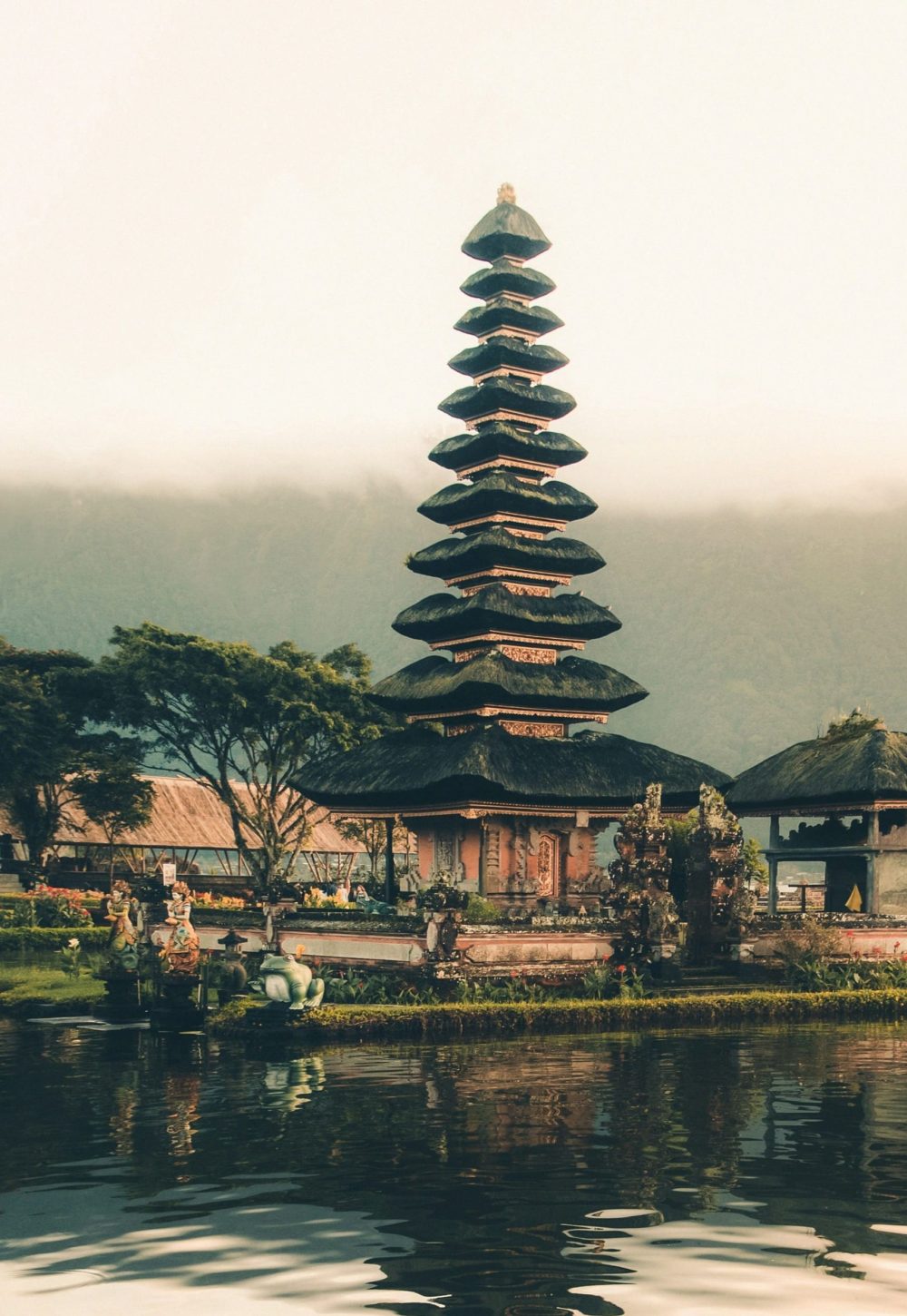 aron-visuals-1kdIG_258bU-unsplash (1) (1)