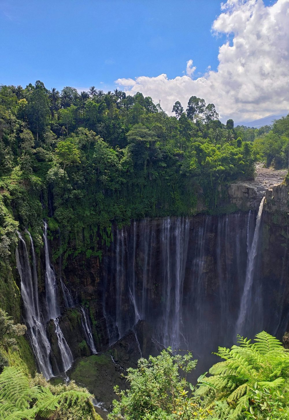 zidan-attamimi-HdUBUpfhh1E-unsplash (1) (1)